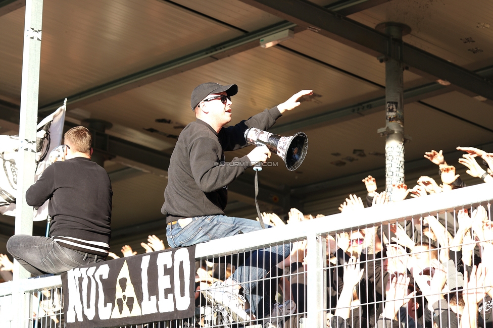 Hartberg - Sturm Graz
Oesterreichische Fussball Bundesliga, 15. Runde, TSV Hartberg - SK Sturm Graz, PROfertil Arena Hartberg, 30.11.2025. 

Foto zeigt Fans von Sturm
