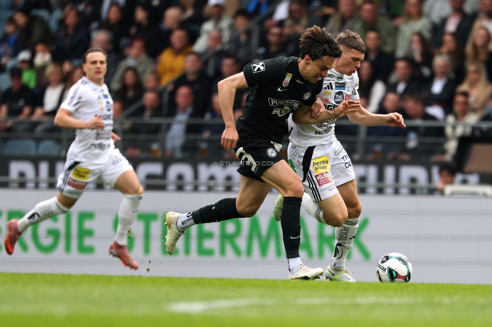Sturm Graz - Hartberg
Oesterreichische Fussball Bundesliga, 26. Runde, SK Sturm Graz - TSV Hartberg, Stadion Graz-Liebenau, 12.04.2026. 

Foto zeigt Fans von Sturm

