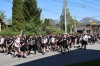 20260503-0012_62AS3288.JPG
