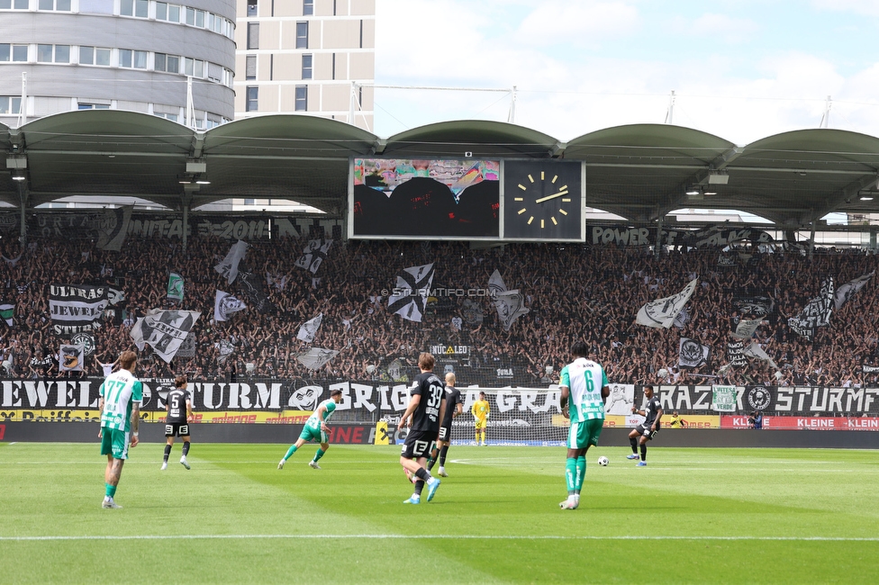Sturm Graz - Rapid Wien
Oesterreichische Fussball Bundesliga, 32. Runde, SK Sturm Graz - SK Rapid Wien, Stadion Graz-Liebenau, 17.05.2026. Foto zeigt Fans von Sturm
