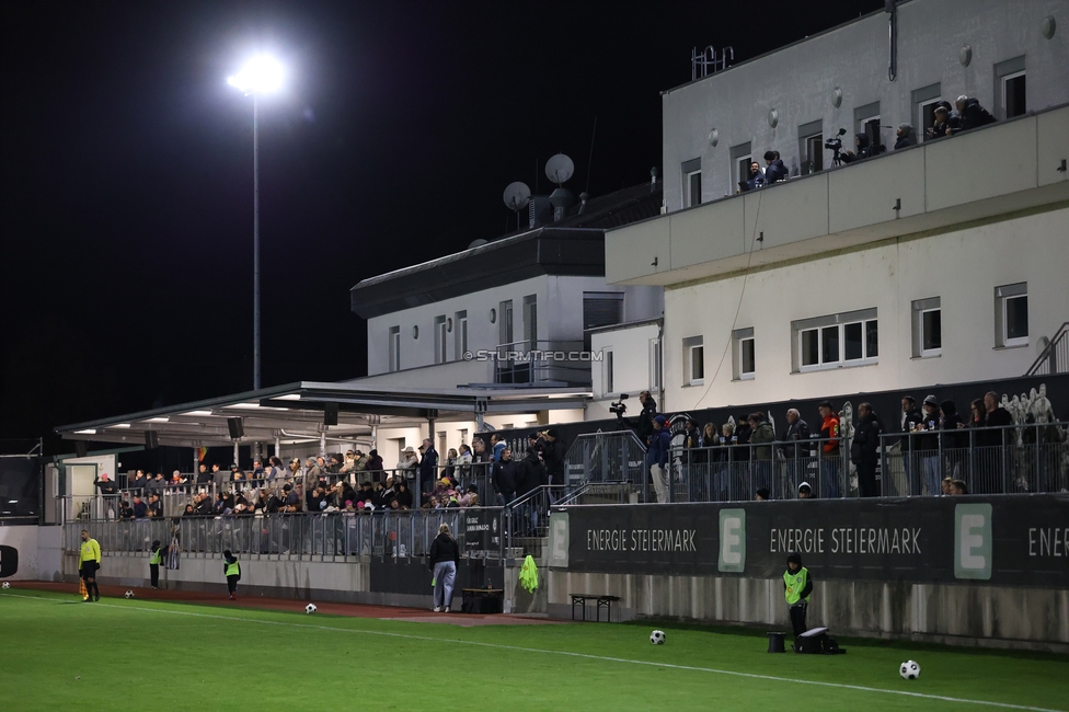 Sturm Frauen - LASK
OEFB Frauen Bundesliga, 11. Runde, SK Sturm Graz Frauen - LASK, Trainingszentrum Messendorf, 23.10.2026. Foto zeigt Fans von Sturm
